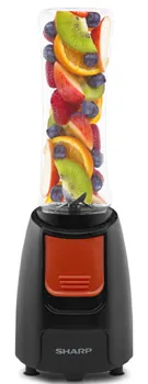 240 Watt Personal Blender