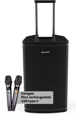 Advanced Professional Speaker