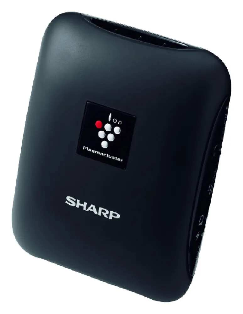 Personal Air Purifier