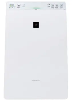 Air Purifier with Humidifying Function