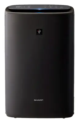 Air Purifier with Humidifier