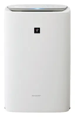 Air Purifier with Humidifier